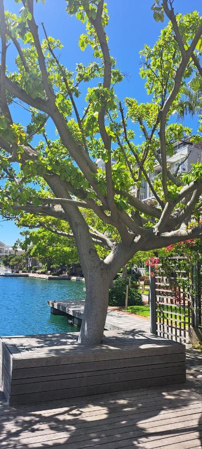 V&A Waterfront Marina Family Apartment 101 Altmore Kapsztad Zewnętrze zdjęcie